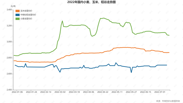 小麦、玉米、稻谷走势