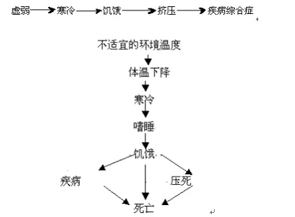 哺乳仔猪死亡原因　