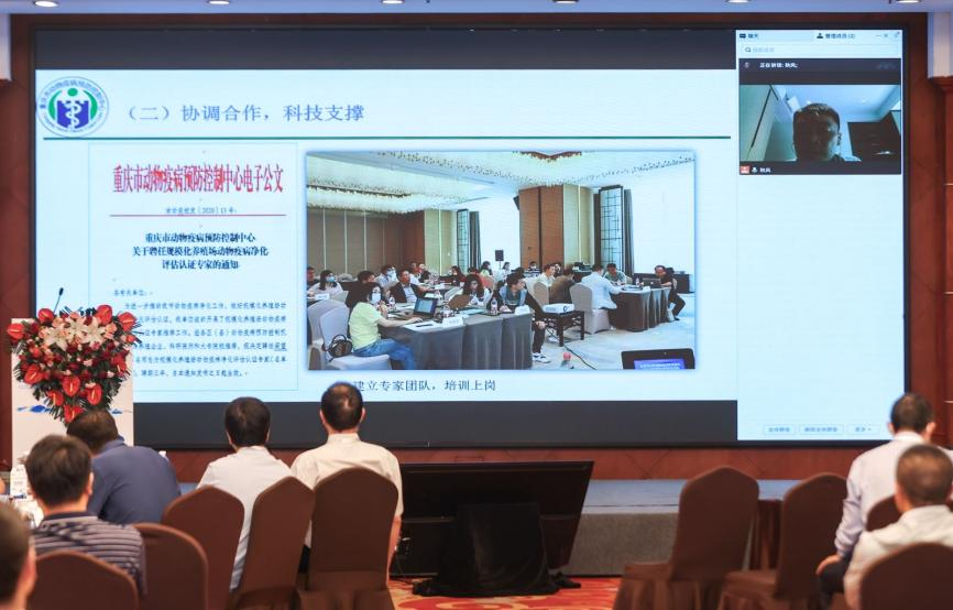 重庆市动物疫病预防控制中心主任 曾政（现场连线）