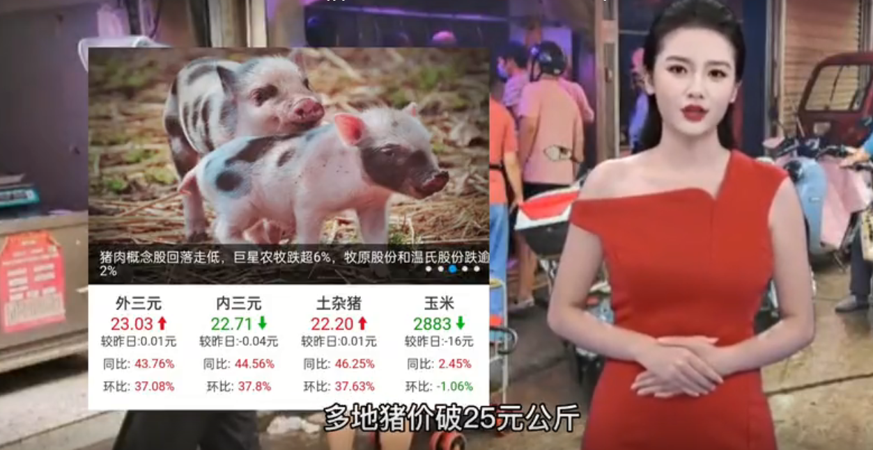 多地猪价破25元/公斤，贵州单日上涨1.68元，猪价还会上涨吗？