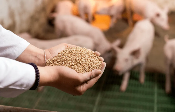 饲料行业集中度提升，年产百万吨以上39家，猪料头部企业纷纷试水下游养殖