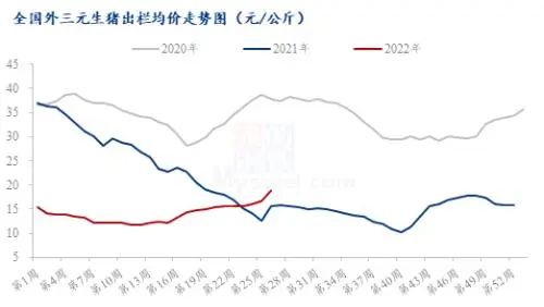豆粕大跌140元/吨、玉米跌破1.4元/斤！饲料终于要迎来降价潮？