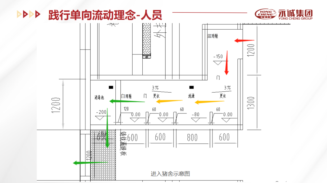 优化单向流动理念