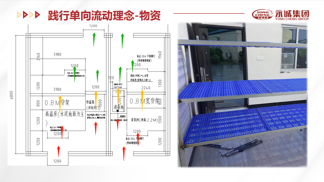 优化单向流动理念