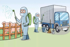 敲重点！如何提升猪场生物安全？这些优化措施赶紧学起来