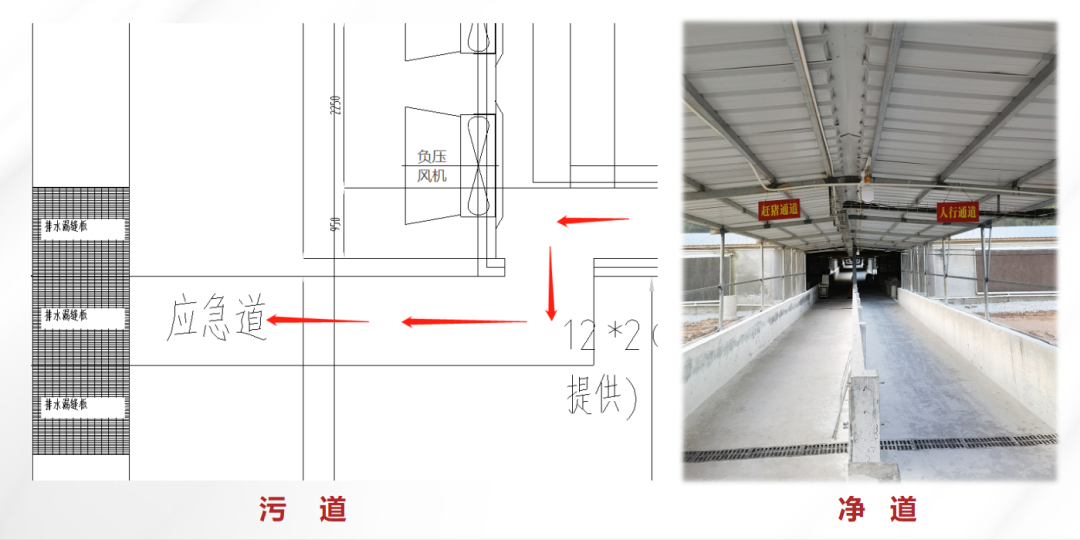 净污道优化