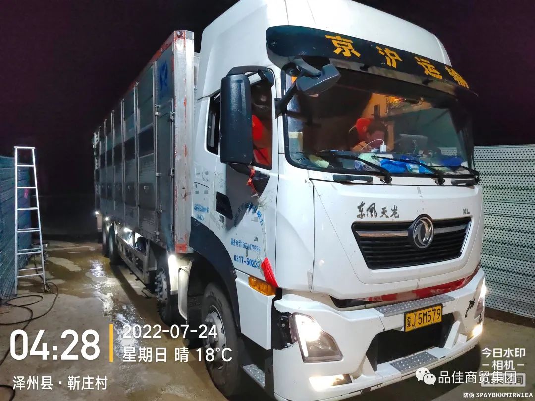 第一批种猪到达二级洗消点