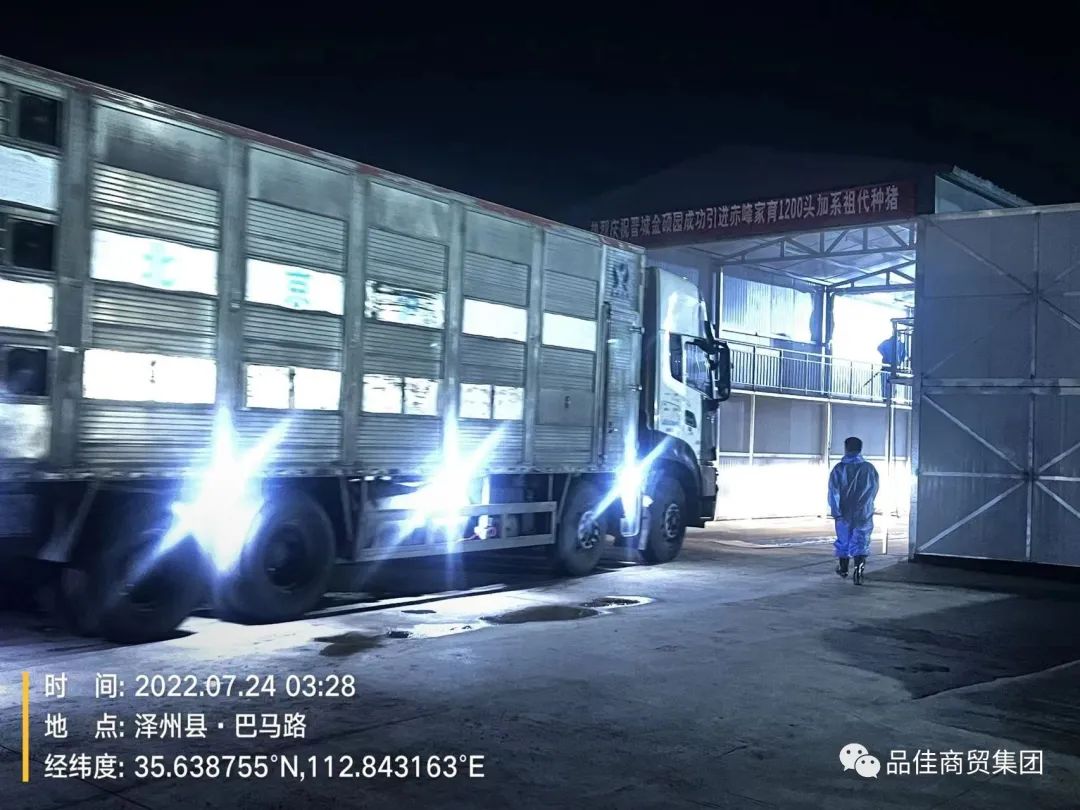 第一批种猪到达一级洗消点