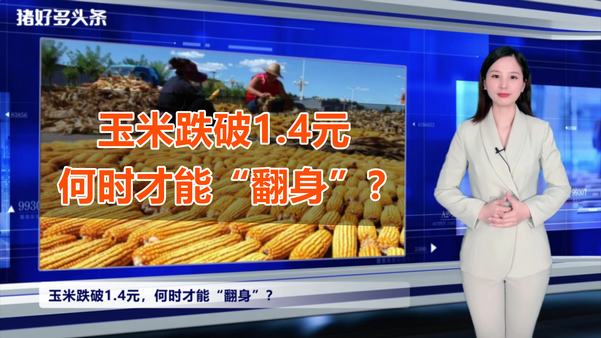 均价跌破1.4元/斤！东北粮库开始收粮，玉米“翻身”机会来了？