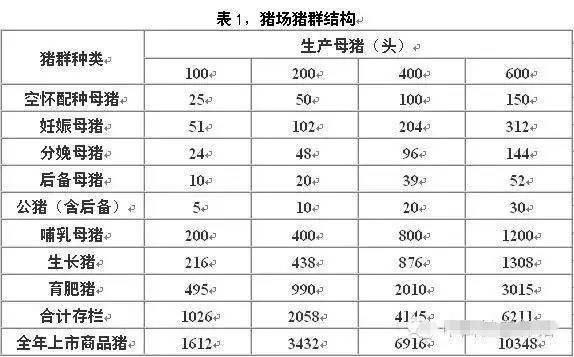 猪群结构