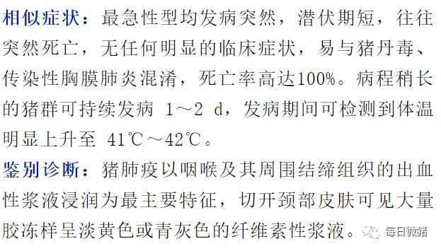 非洲猪瘟与猪肺疫的鉴别诊断