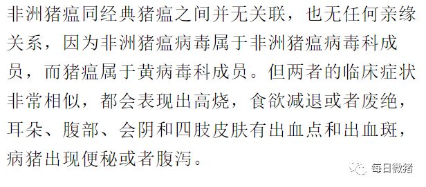 非洲猪瘟与经典猪瘟的鉴别诊断