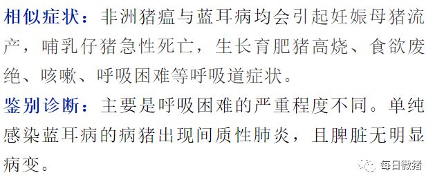 非洲猪瘟与经典猪瘟的鉴别诊断