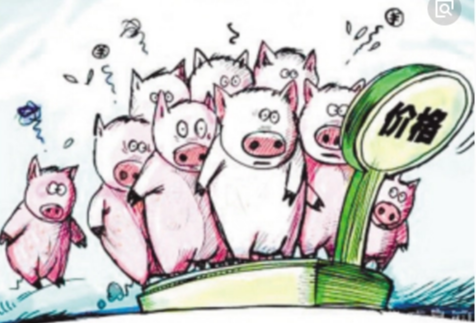 生猪价格冲高回落，预计8月份生猪价格将回落至20元/公斤