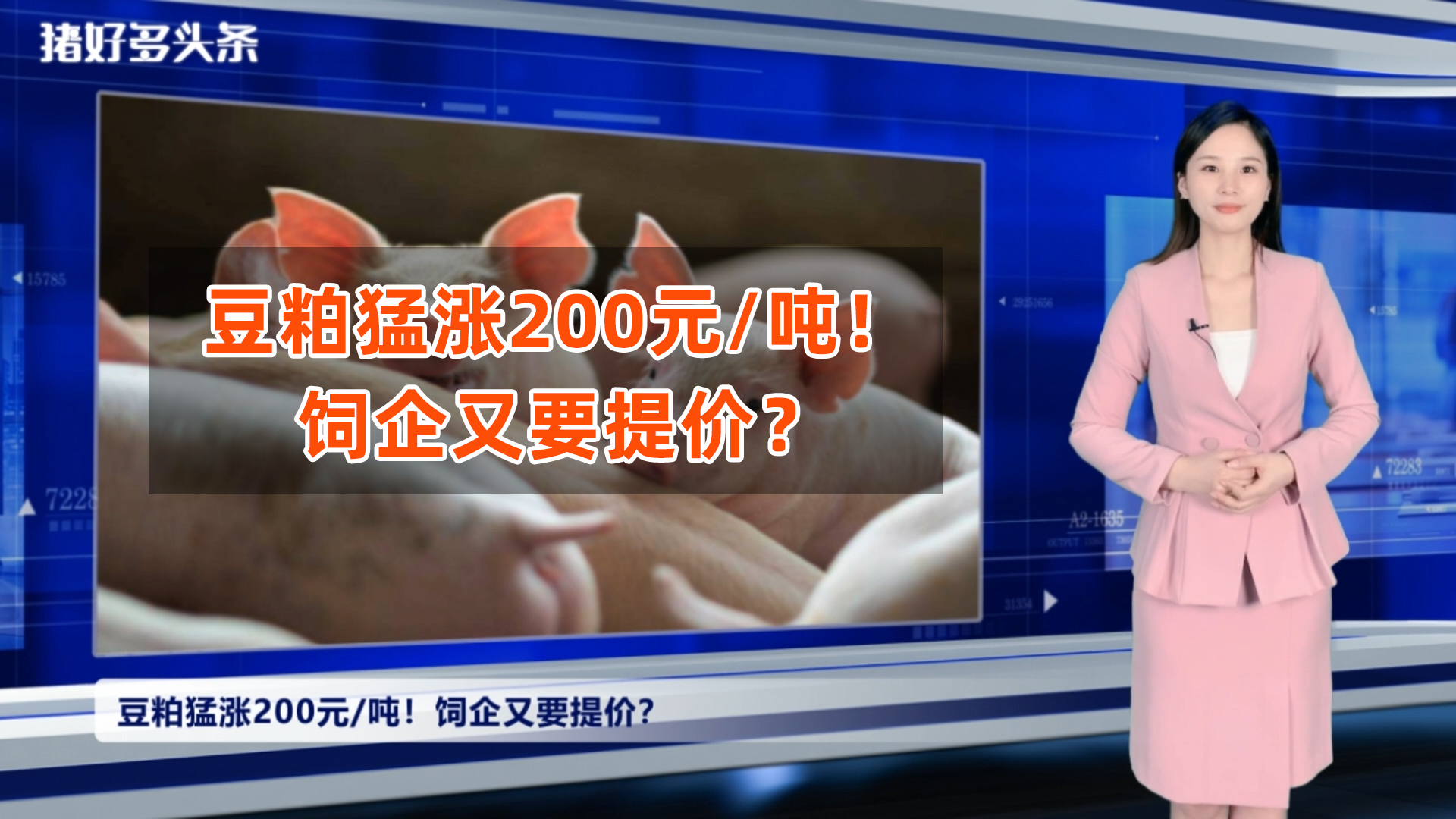 难！猪价僵持，豆粕却猛涨200元/吨！饲料又要涨了？