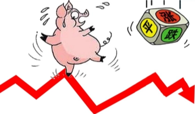 今日猪价“涨翻天”，屠企报价涨0.15元！猪价涨跌频繁互换，猪价走势如何？