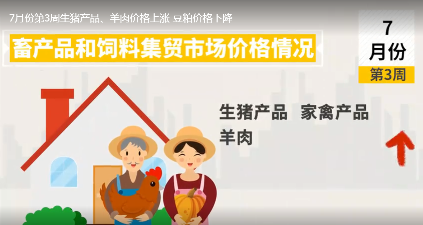 7月第3周：生猪、鸡蛋、鸡肉价格都在涨！