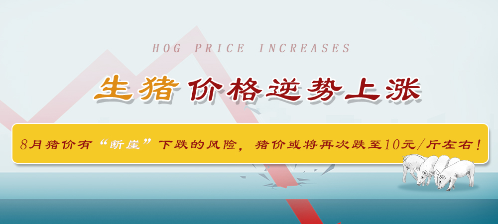 生猪价格逆势上涨，8月猪价有“断崖”下跌的风险，猪价或将再次跌至10元/斤左右！