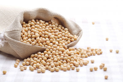 节约饲料粮食资源，多途径推动玉米豆粕减量替代