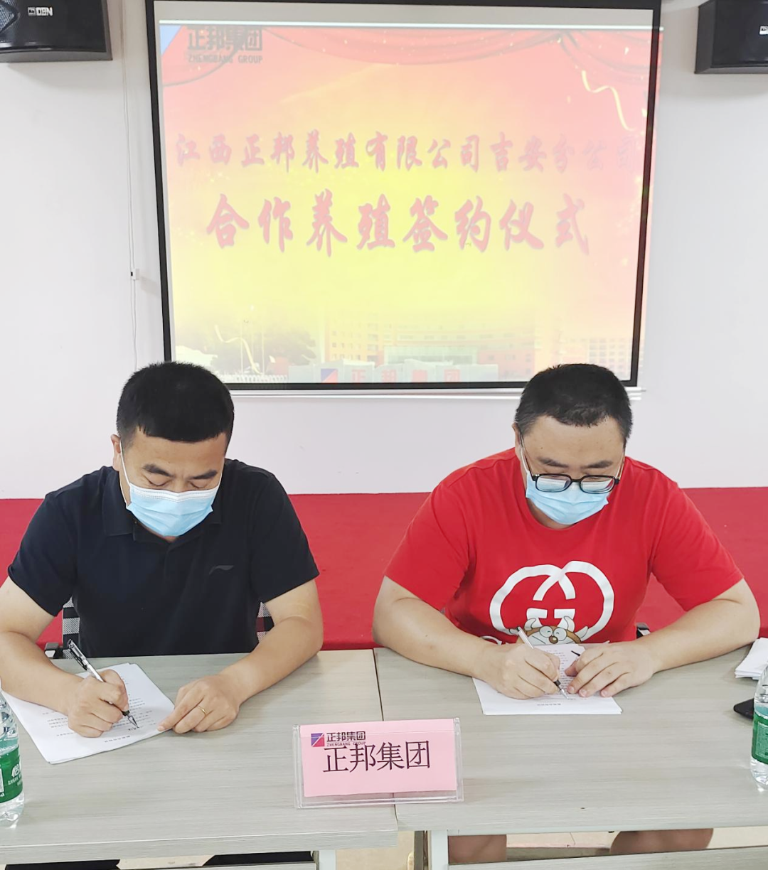 江西正邦养殖公司开创合作养猪新模式
