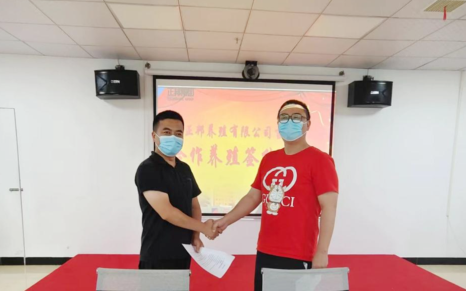 江西正邦养殖公司开创合作养猪新模式