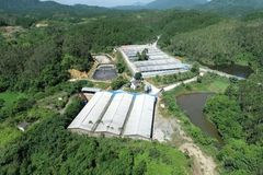 合作共赢，扬翔同行者┃肉猪实现4个半月就出栏！400头规模猪场老板成功“抄底”