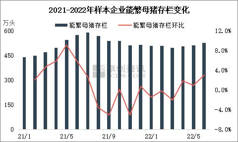 多重因素提振6-7月猪价 8月市场利空偏多