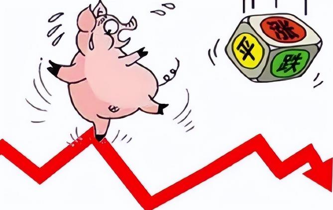 8月4日猪价：猪价涨不动跌不了！但两大利好因素加持，养殖户盈利还会再增长？