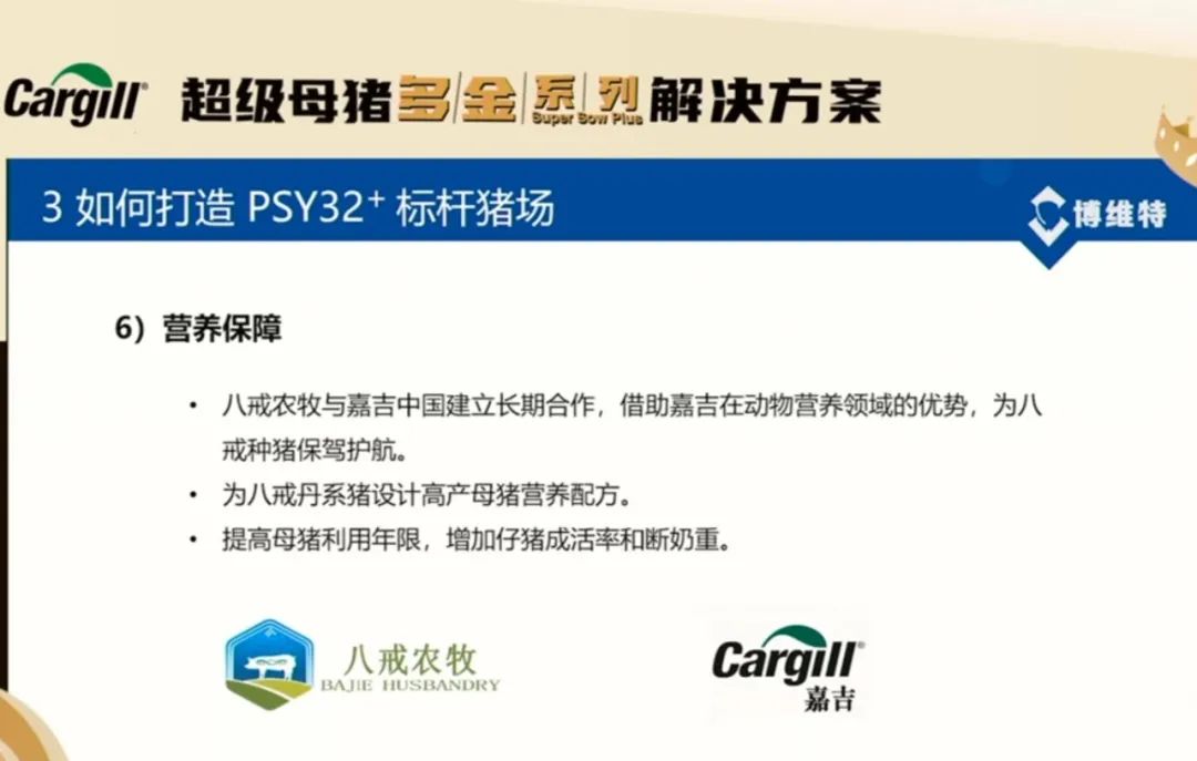 如何打造PSY32+标杆猪场