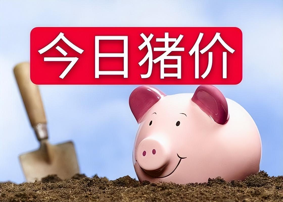 8月11日猪价：19省猪价反弹！猪价走向整体向好，未来猪价行情能涨至多高？