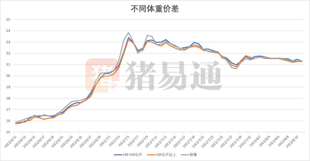 牛猪比标猪贵，说明了啥？8月猪价还会更差吗？