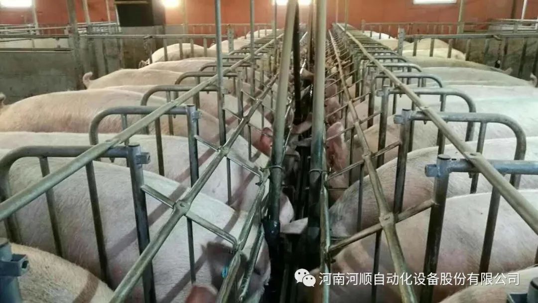 河顺自动化