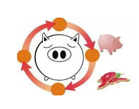 新一轮“猪周期”已开启，此轮猪周期有何不同？下半年的猪价走势如何？