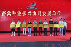 赤峰家育种猪集团成为畜禽种业振兴协同发展单位，致力于解决种业芯片问题！