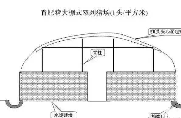 育肥猪大棚