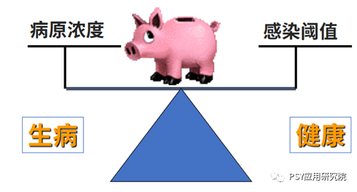 猪群健康度
