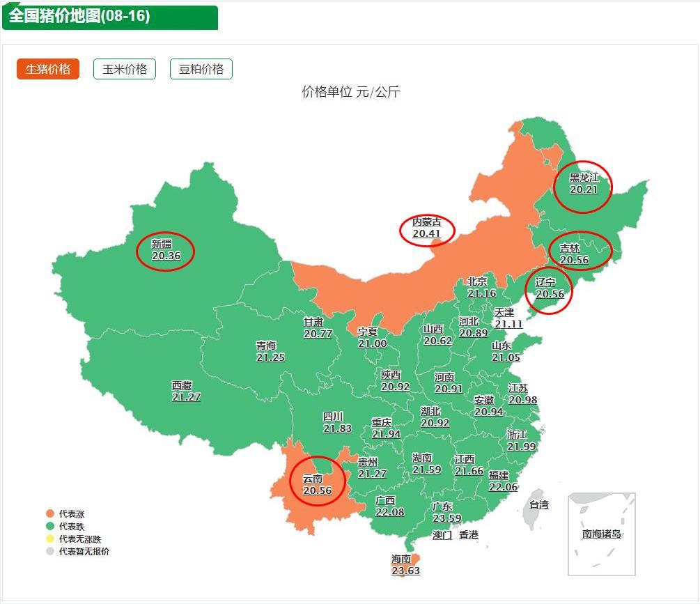 8月16日猪价地图