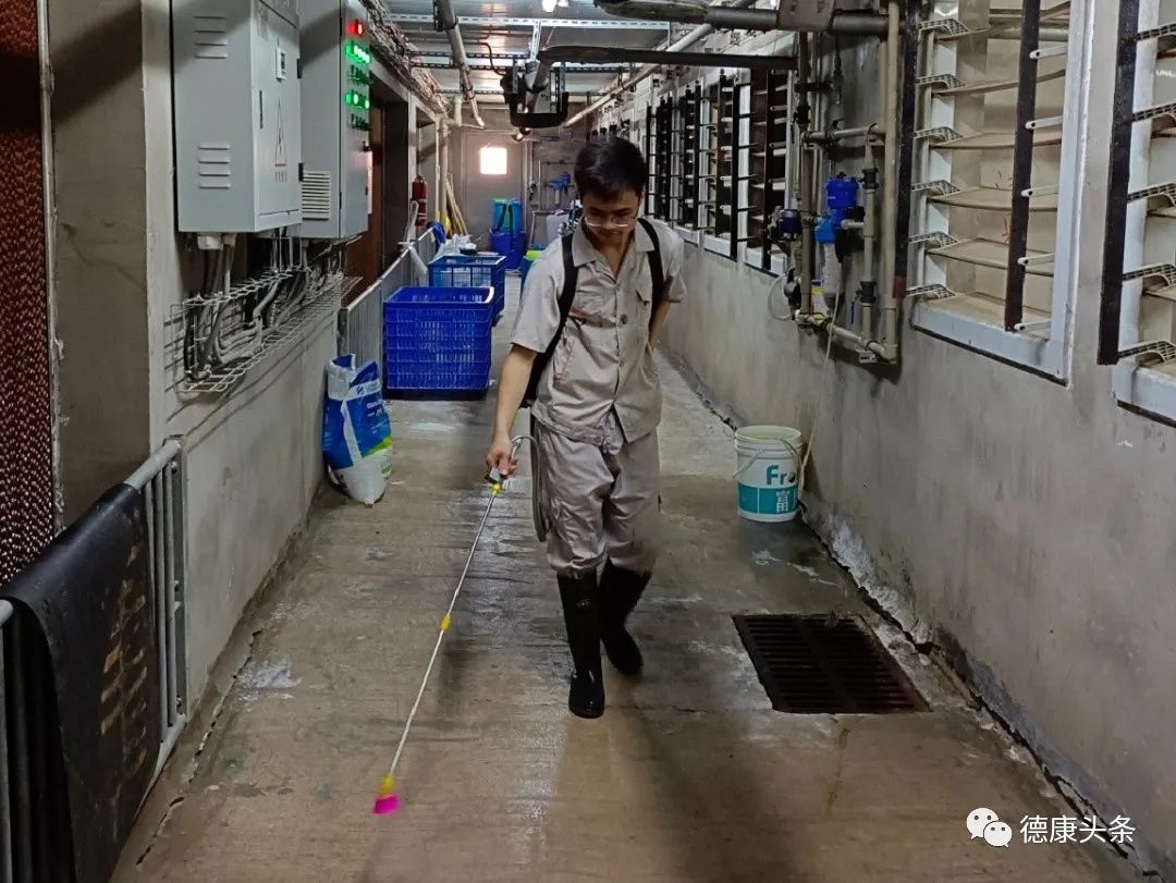 自贡德康联络猪场