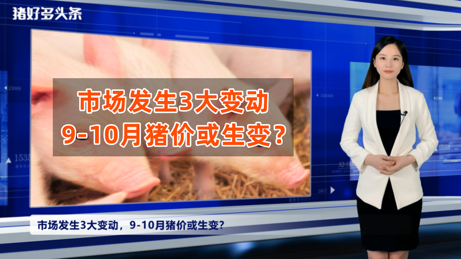 饲料再涨300元/吨！业内：市场发生3大变动，9-10月猪价或生变？