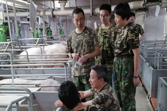 一颗好饲料是如何养成的？扬翔饲料生产全流程大起底！