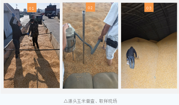 生产一袋好饲料都要经历哪些程序？扬翔饲料生产全流程揭秘！