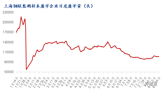 上海钢联监测样本屠宰企业日度屠宰量