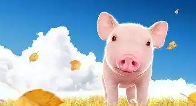 猪周期循环往复，猪企进退两难，养猪不如卖饲料?