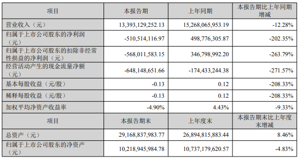 大北农半年度报告