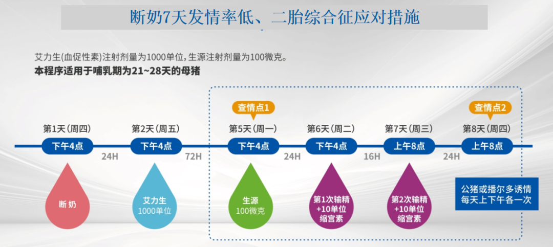减小夏季高温对母猪繁殖性能影响的措施