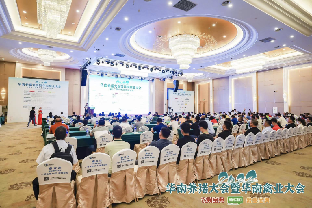 会议现场