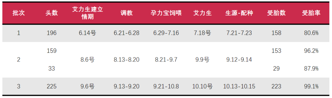 后备母猪初情期建立