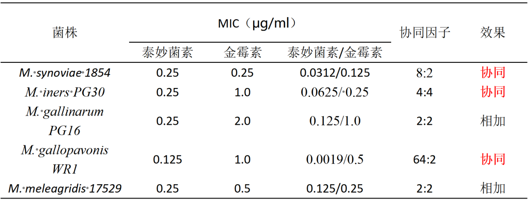 泰妙菌素和金霉素单独和联合治疗不同禽源支原体的MIC比较研究