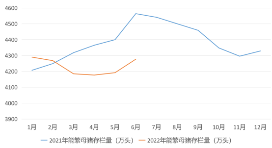 2021、2022年我国能繁母猪存栏量（万头）