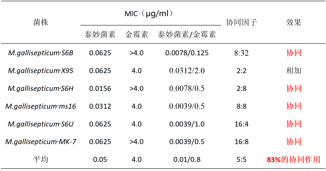 泰妙菌素和金霉素单独和联合治疗6株鸡毒支原体MIC比较研究